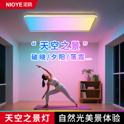 Sky Ceiling Lamp, Blue Sky Light, Natural Light, Blue Sky Living Room Lamp, Modern Simple and Elegant 2025 New Model Clear Sky Lamp