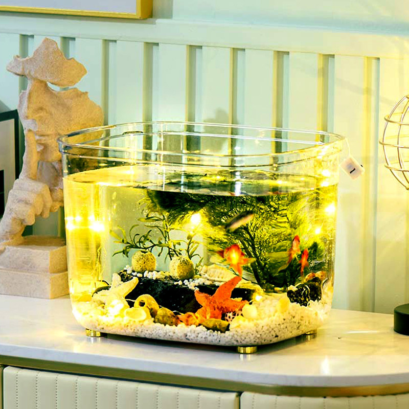 Picture of Amazon.com: Small Goldfish Tank With Filter