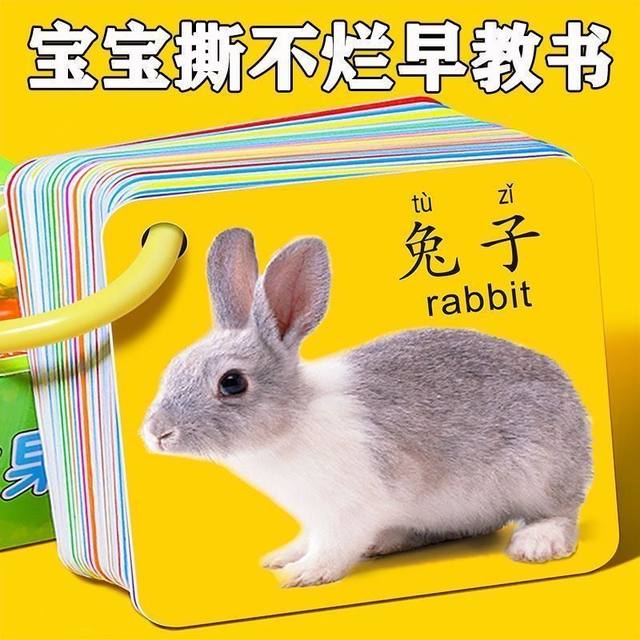 Animal Cards Early Education Enlightenment Book Cognitive Cards Infants and Toddlers Children's Educational Literacy Reading Pictures and Object Toys