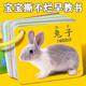 Animal Cards Early Education Enlightenment Book Cognitive Cards Infants and Toddlers Children's Educational Literacy Reading Pictures and Object Toys