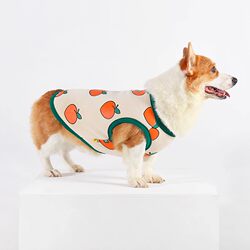 New Cute Corgi Clothes, Autumn and Winter Vests, Fleece-Lined Warm Pet Clothes for Shiba Inu and Schnauzer Dogs in Winter