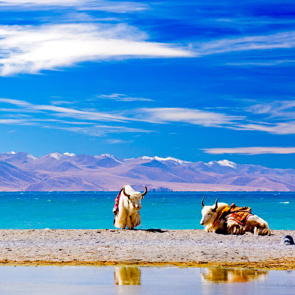 【纳木错一日游】西藏旅游拼车拉萨出发扎西半岛跟团8人纯玩团