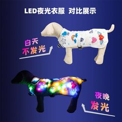 Foreign trade Amazon pet clothes smart colorful flash