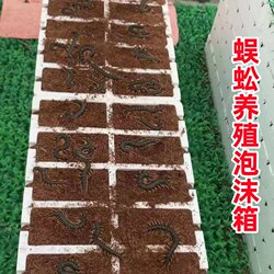 Centipede Breeding Foam Box Equipment Incubator Seedling Tool Special Board Tray for Artificial Feeding and Breeding