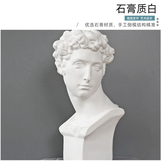 Huiyue 30cm 石膏頭彫刻 - 美術教育支援