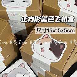 ins Cardboard Kraft Paper Airplane Box for Cards, Small Card Packaging Box, Large Express Box, Rectangular Gift Box, Paper Box