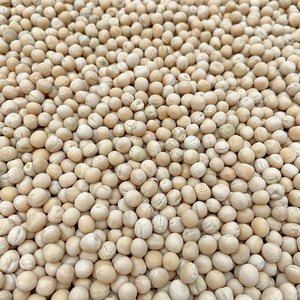 
White peas, raw peas, dried peas with skin, whole grains, pigeon food, pigeon feed, free shipping