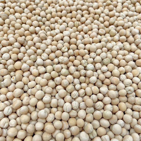 
White peas, raw peas, dried peas with skin, whole grains, pigeon food, pigeon feed, free shipping