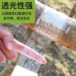 Grafting Film Special Pe Film Self-Adhesive Fruit Tree Tape Fresh-Keeping Wrapping Protection Supplies Practical Gardening Tools