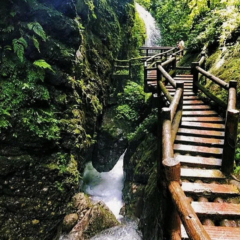 【夜游蓝眼泪】2-8人小团成都都江堰青城前后山蓝眼泪一日游纯玩
