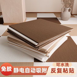 Spliced Carpet Square Carpet Non-Slip Living Room Bedroom Children's Room Soundproof Floor Mat Cement Floor Office Self-Adhesive Carpet