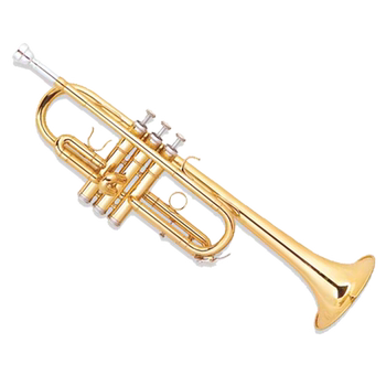 Weinuo new school professional trumpet player in C key