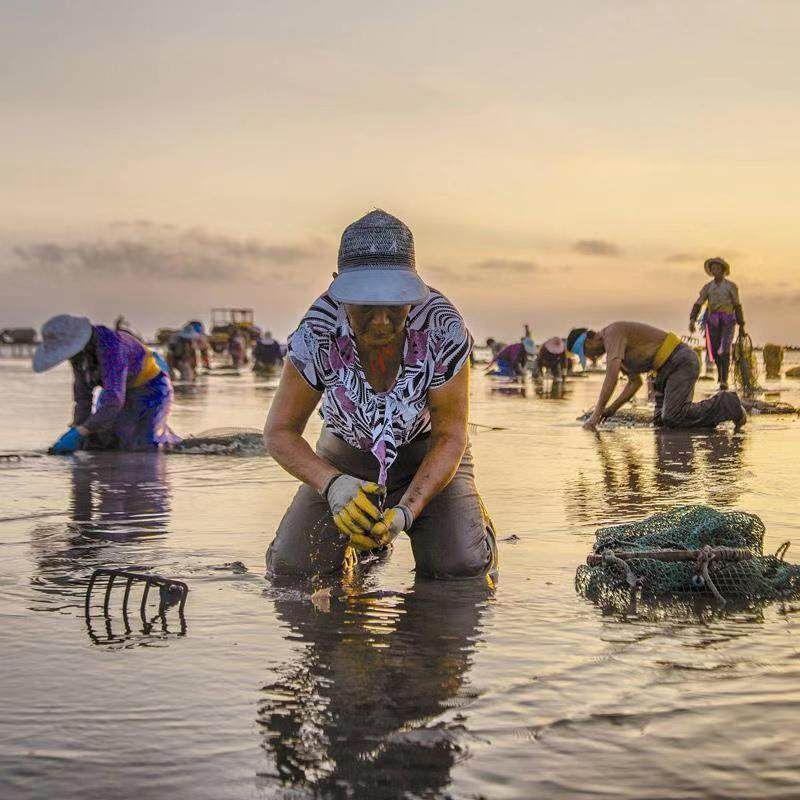 【含动车票】厦门旅游厦门泉州5天4晚跟团游纯玩鼓浪屿云水谣
