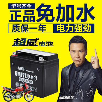 Chaowei 12v7a battery men's diamond leopard universal