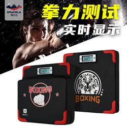 Boxing Force Measuring Device, Boxing Power Tester, Electronic Impact Force Tester, Training Display for Force Value, Wall Target