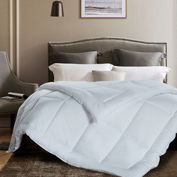 Hotel-Specific Quilts, Spring and Autumn Quilts for Guesthouses, White Quilt Core, Feather Velvet Winter Quilt, Thickened and Warm Bedding