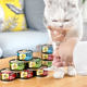 Beethoven pet Sheba PREMIO Sea Banquet Soup Boil Black Golden Cat Soup Steak Cat 24 cans 24 cans
