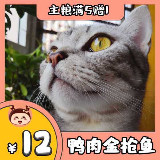 Puff Family. Homemade cat food Haiyang fish flavor Natural grain main grain special offer 500 grams of secrets to young cats
