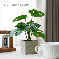 ins Artificial Green Plant Small Potted Ornaments, Monstera Leaves, Taro Leaves, Office Desk, Living Room Coffee Table, Fake Flowers, Artificial Plants