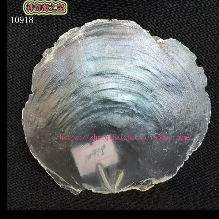 644 贝壳光 6cm×3m 日光下的海和蔚藍眼淚 半端巻き 644 贝壳光 6cm×3m 日光下的海和蔚藍眼淚 半端巻き 644