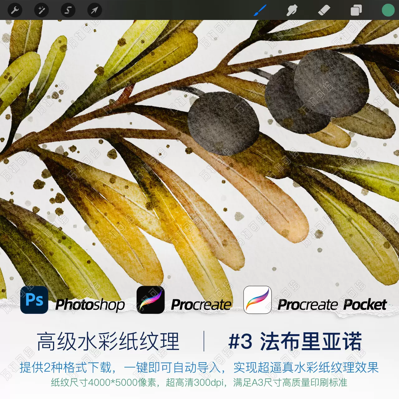 万物可绘 Ps Procreate Pocket 水彩纸纹理 3 法布里亚 万物可绘 Ps Procreate Pocket 水彩纸纹理 3 法布里亚