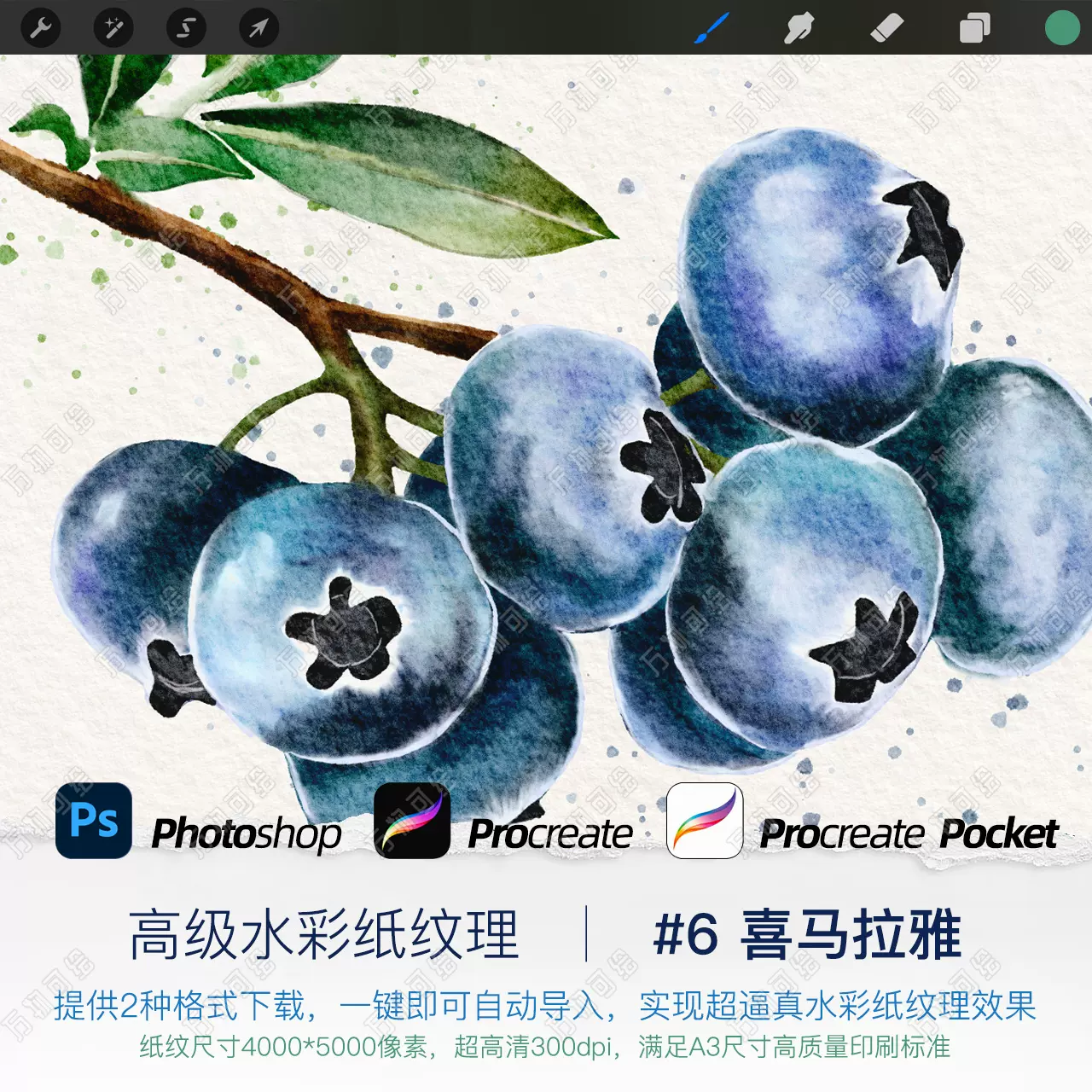 万物可绘 Ps Procreate Pocket 水彩纸纹理 6 喜马拉雅 万物可绘 Ps Procreate Pocket 水彩纸纹理 6 喜马拉雅