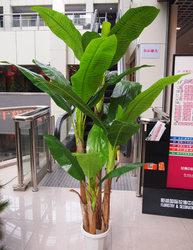  Artificial Plants, Artificial Decorative Fake Trees, 4-Pronged 2.2m High Banana Tree, Large Floor-Standing Bonsai, Fake Green Plants