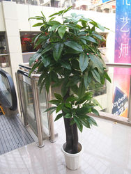 Free Shipping Artificial Fake Tree Green Plant Floor-Standing Living Room New Ancient Tree Style Money Tree Decorative Floral Arrangement Floor-Standing Home Decor