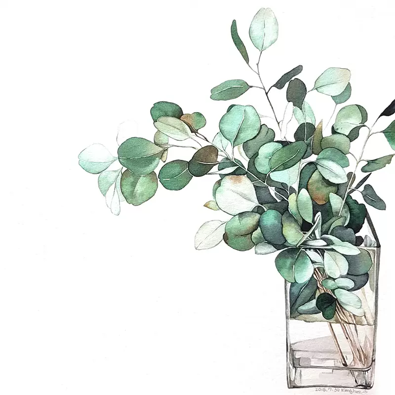 国外mina小清新水彩花卉手绘素材图水彩植物水彩水果手绘临摹素材