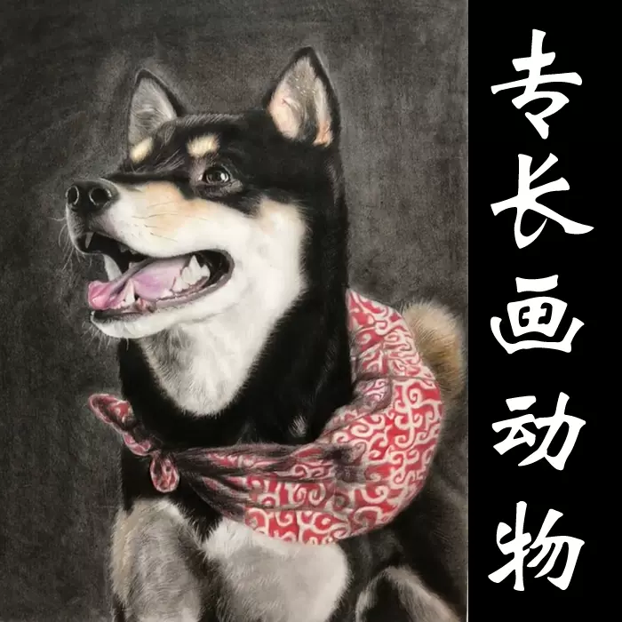 宠物手绘小动物画像定制照片猫咪狗萌宠马生肖像画素描彩