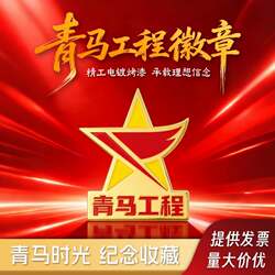 Alloy Youth Marxist Volunteer Badge Brooch Youth Marxist Project Magnetic Butterfly Clasp Badge