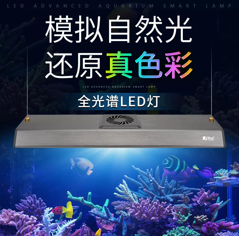 鱼缸水族箱白光照明led灯造景灯龙鱼血鹦鹉灯蓝