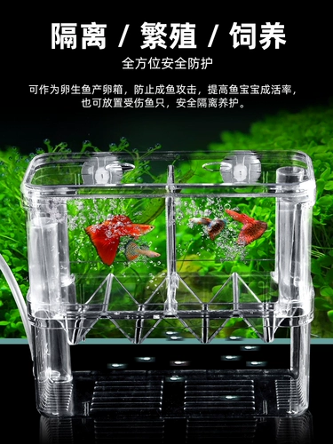 Ящик для изоляции рыбы, ящик для размножения рыбы в павлинах