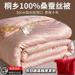 Tongxiang Silk Quilt 100% Mulberry Silk Quilt Spring and Autumn Quilt Winter Quilt Thickened Warm Quilt Mother-Child Quilt All-Season Universal Quilt Core