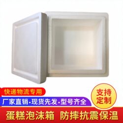 Cake Foam Box in Stock, Insulated Box, Square Layer Cake Box, Thickened, 6inch 8inch Pieces, Packaged for Delivery, Express Box