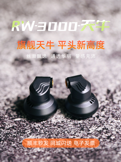 Yincrow RW3000 HiFiヘッドホン - 1.2m有線イヤホン