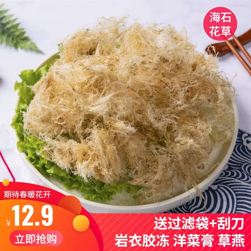 海石花草饶平石花膏四果汤原料石花菜水晶凉粉岩