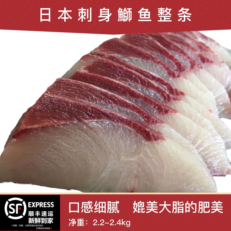日本鰤魚紅甘魚刺身料理即食2kg 超低溫寒黃師魚章紅魚整條出售 Taobao