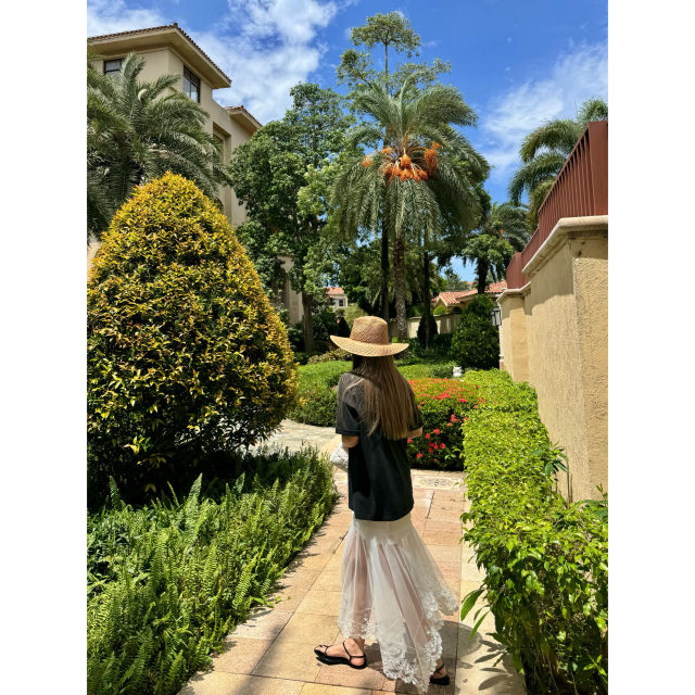 Wann Dreamy Gauze Skirt Embroidered lace fishtail skirt Women's summer 2024 new high-waisted temperament mesh long skirt