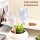 Tulip flower-shaped lazy flower watering device for business trips and flower cultivation drip irrigator automatic watering device gardening tools