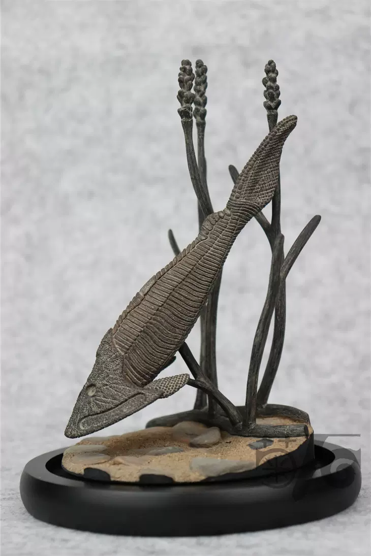 菊石製造】甲冑魚恐龍化石樹脂模型-Taobao