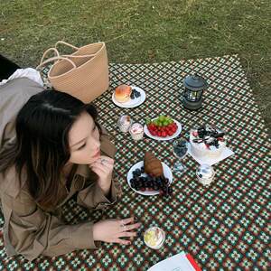 
Camping waterproof and moisture-proof picnic mat, wind photo props, picnic cloth, spring outing lawn mat