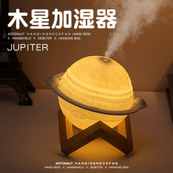 Birthday Gift for Female Friends, Practical, Niche, High-End, Humidifier for Girlfriend or Wife, Christmas Gift