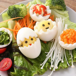 Boiled egg rolling egg cutting mold boiled egg dividing