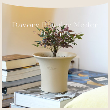 DOLV Dolv Classic Art Flower Pots Paris Painting School Home Gardening Clay Flower Pots