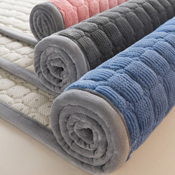 Coral Milk Velvet Mattress Pad Blanket Bed Blanket Home Thickened Mattress Pad Quilt Dormitory Student Single Bed
