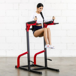 Indoor Parallel Bars for Home Use, Double Bars for Arm Flexion and Extension, Hanging, Knee Lift, Abdominal Curls, Push-Ups, Deltoid Muscle Training Fitness Equipment