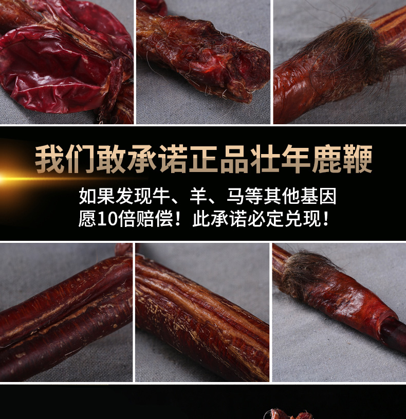ユウスケ　鹿の角、鹿の鞭 ユウスケ様専用 鹿の角、鹿の鞭