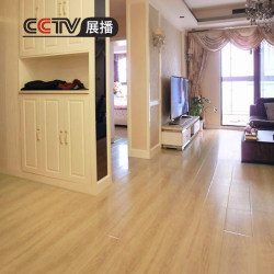 Longye A6 Cream-Colored Waterproof and Wear-Resistant Underfloor Heating Laminate Flooring for Indoor Home Use, Direct from the Manufacturer, 12mm Thick