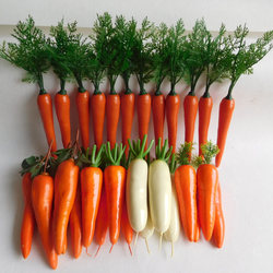 Simulated Radish Carrot Pink Water Radish Fake Vegetable Model Window Display Kindergarten Fruit and Vegetable Decoration Early Education Props